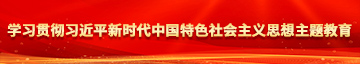 操操操操操操操操操逼操学习贯彻习近平新时代中国特色社会主义思想主题教育